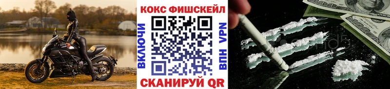 Купить закладки  Алзамай  COCAIN Эквадор 