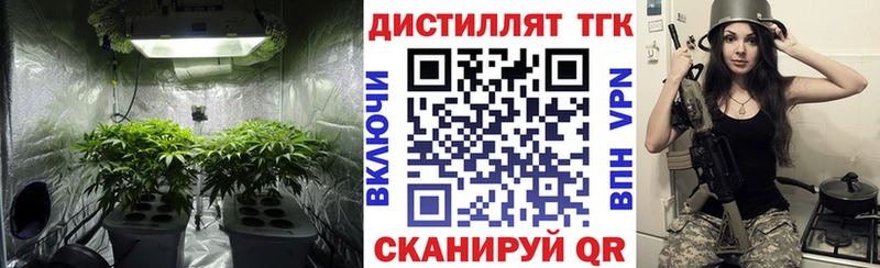 ТГК гашишное масло Купить закладки Алзамай