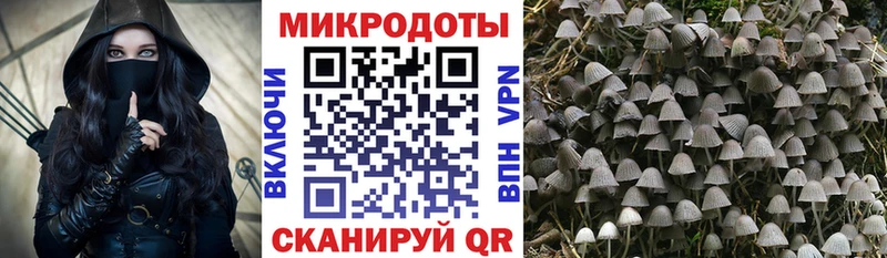 Псилоцибиновые грибы мухоморы Купить где Алзамай